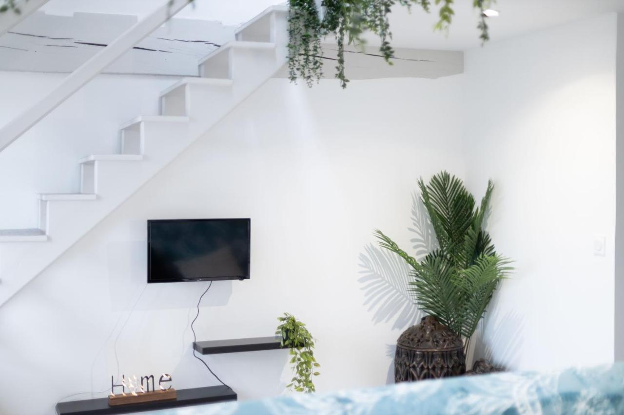 Doux Cocon Tropical Au Coeur Du Centre Apartment Troyes