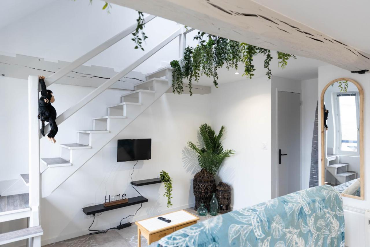 Doux Cocon Tropical Au Coeur Du Centre Apartment Troyes